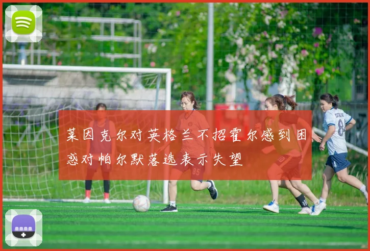 莱因克尔对英格兰不招霍尔感到困惑对帕尔默落选表示失望